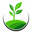 Live Simply Organic Wellness logo