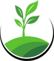 Live Simply Organic Wellness  - Home